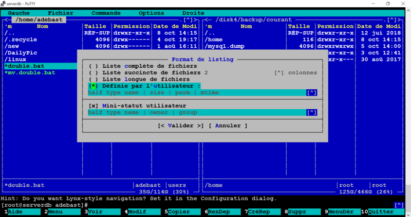LINUX:Mc.format.liste.png