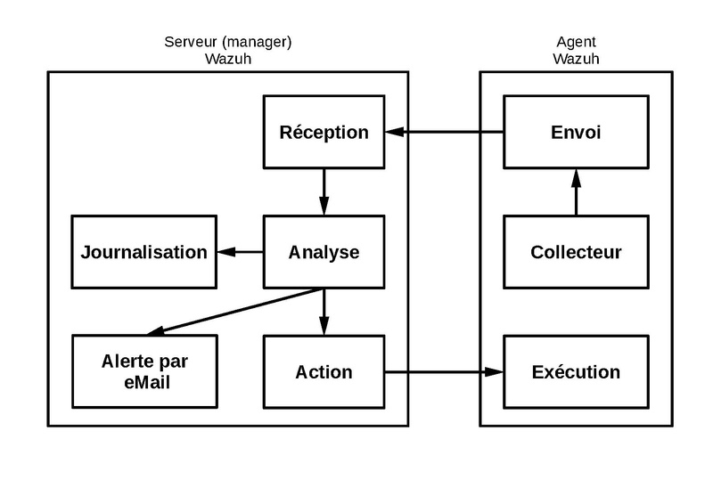 LINUX:Wazuh.2.pdf